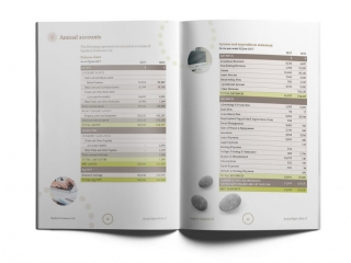 Samford Commons Annual report - financials page layout