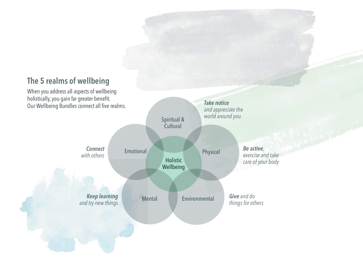 diagram showing 5 realms of wellbeing