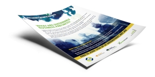 Sustainable precinct flyer
